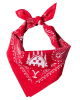 Bandana - Yellowstone