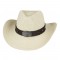 Straw Western Hat - Longhorn with Brown Hatband