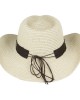 Straw Western Hat - Longhorn with Brown Hatband