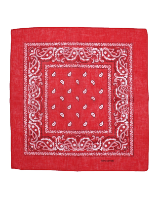 Bandana - Paisley