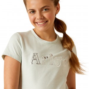 Ariat - Saddle T-Shirt