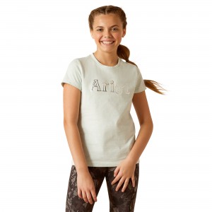 Ariat - Saddle T-Shirt
