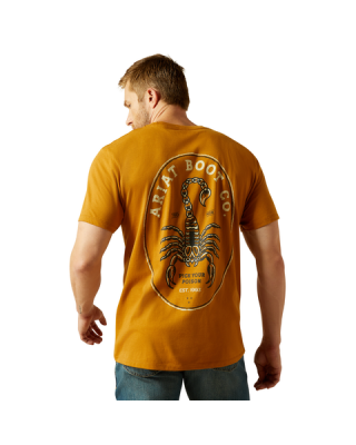 Ariat - Scorpion Seal T-Shirt