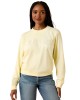 Ariat - Essential Crew Sweatshirt Ariat - Essential Crew Sweatshirt
