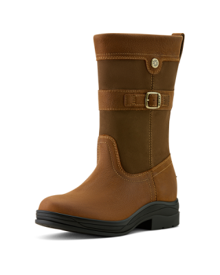 Ariat - Bampton Waterproof Boot