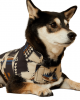 Ariat - Team Softshell Dog Jacket