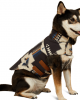 Ariat - Team Softshell Dog Jacket