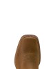 Ariat - Children's Westwood Wide Square Toe