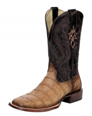 Corral - A4934 Caiman