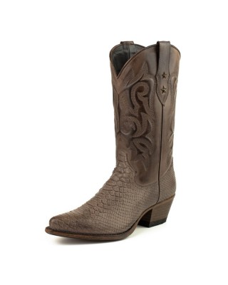 Mayura Alabama 2524 Testa