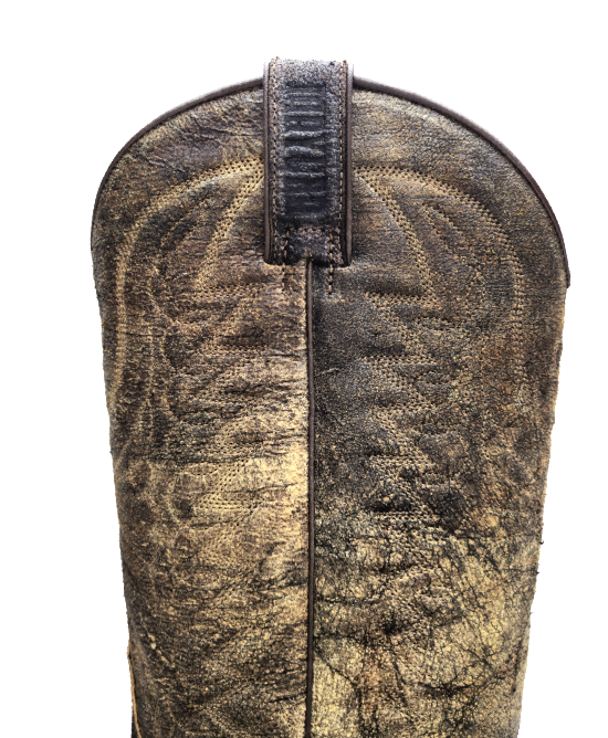 Mayura Arpia Palmas Testa