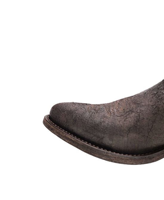 Mayura Arpia Palmas Testa