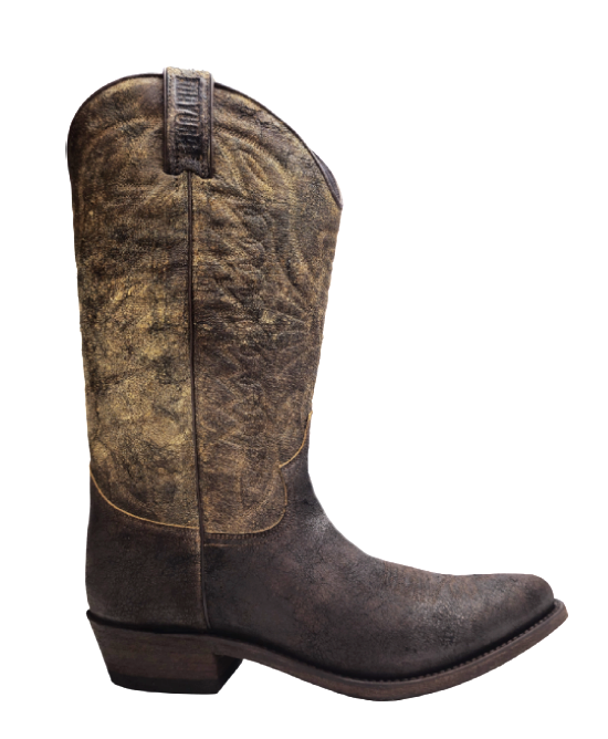 Mayura Arpia Palmas Testa