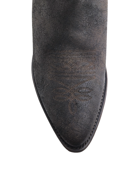 Mayura Arpia Palmas Testa