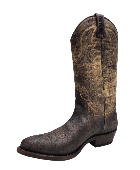 Mayura Arpia Palmas Testa