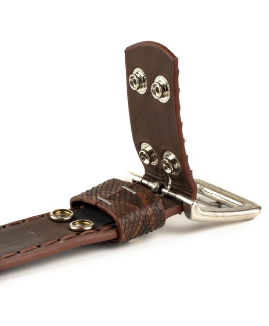 Mayura 1020 Snakeskin Python Belt Castana